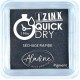 Encre Izink Quick Dry noir 4 Cm x 4 Cm | Tamporelle tampons personnalisés